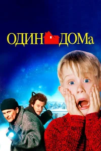 Evdə tək