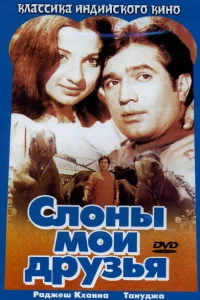 Fillər mənim dostumdur