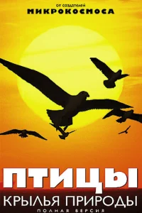 Птицы: Крылья природы